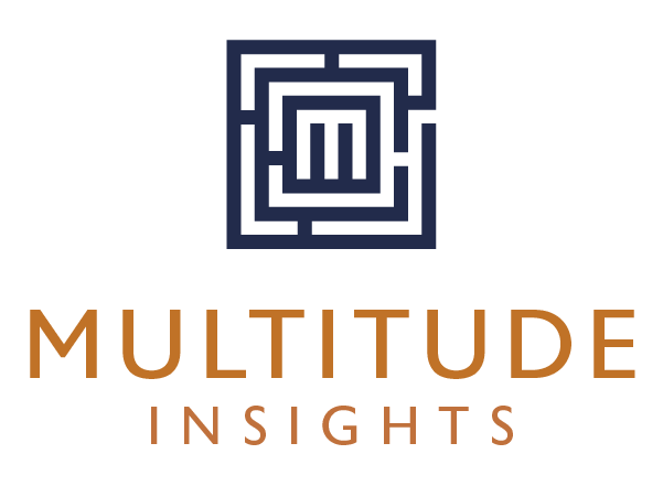 Multitude Insights